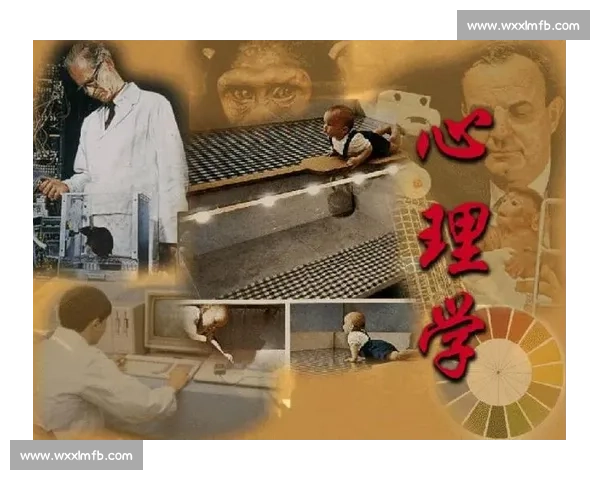 体育心理调节在运动表现优化与心理健康促进中的应用研究